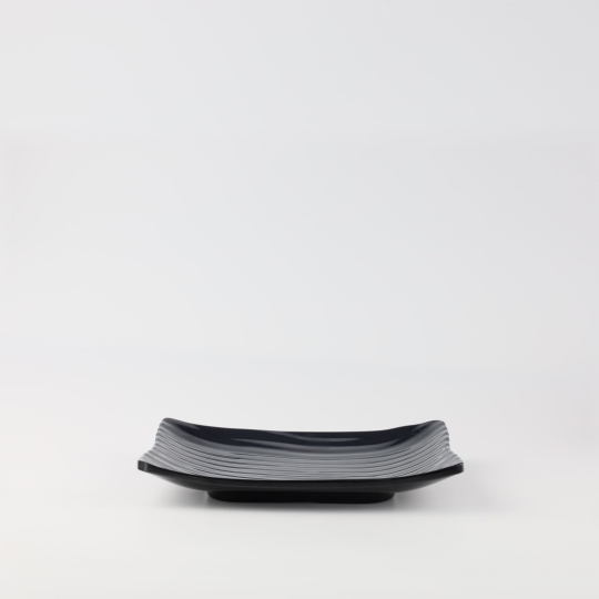 Dĩa CN PV063
